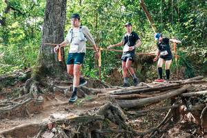 BIB: 
                            <button type="button" onclick="openModal(27716802)" class="btn btn-primary btn-sm float-right btn-popup" data-toggle="modal" data-target=".modal-high-quality">
                        <i class="fas fa-shopping-cart"></i> Add to Cart
                    </button>
                                            <button type="button" onclick="isThisMe(27716802, true)" class="btn btn-success btn-sm float-right btn-popup btn-isme hidden" data-toggle="tooltip" data-placement="bottom" title="นี่คือรูปของคุณใช่ไหม คลิกที่นี่เพื่อเอาเข้าอัลบั้ม">
                        <i class="fas fa-plus"></i> Add to album
                    </button>
                    <button type="button" onclick="isThisMe(27716802, false)" class="btn btn-warning btn-sm float-right btn-popup btn-isnotme hidden">
                        <i class="fas fa-ban"></i> Remove from album
                    </button>